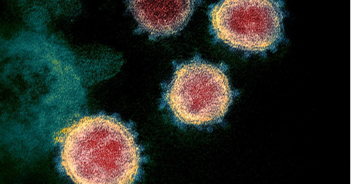 NBN and the coronavirus COVID-19