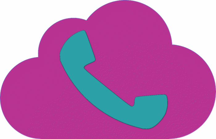 VoIP telephone and the NBN